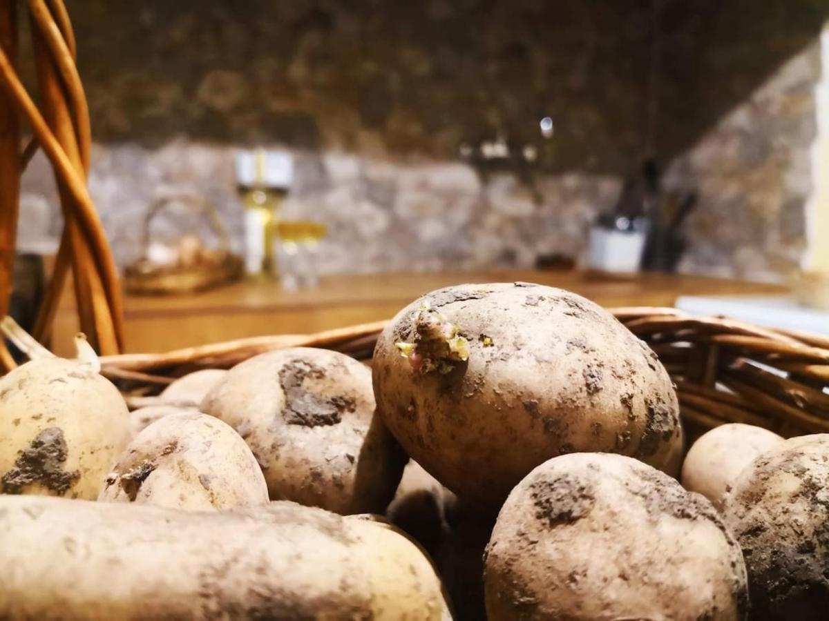 Casa Rural Los Organos De Arguamul 바예에르모소 외부 사진
