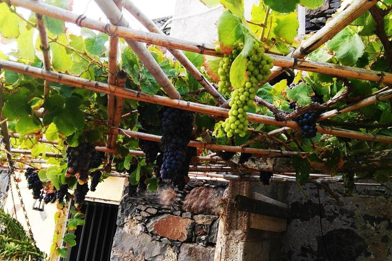 Casa Rural Los Organos De Arguamul 바예에르모소 외부 사진
